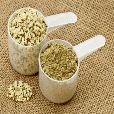 Where Hemp Protein Powder Comes From